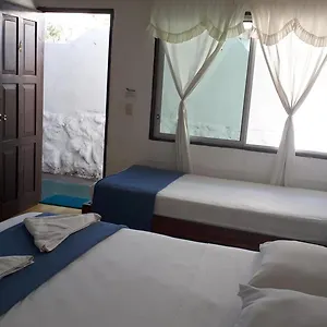 Darwin Casa de hóspedes